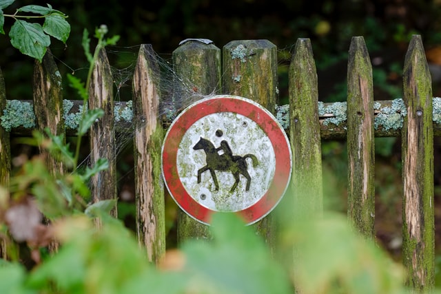 Segno di proibizione del cavallo